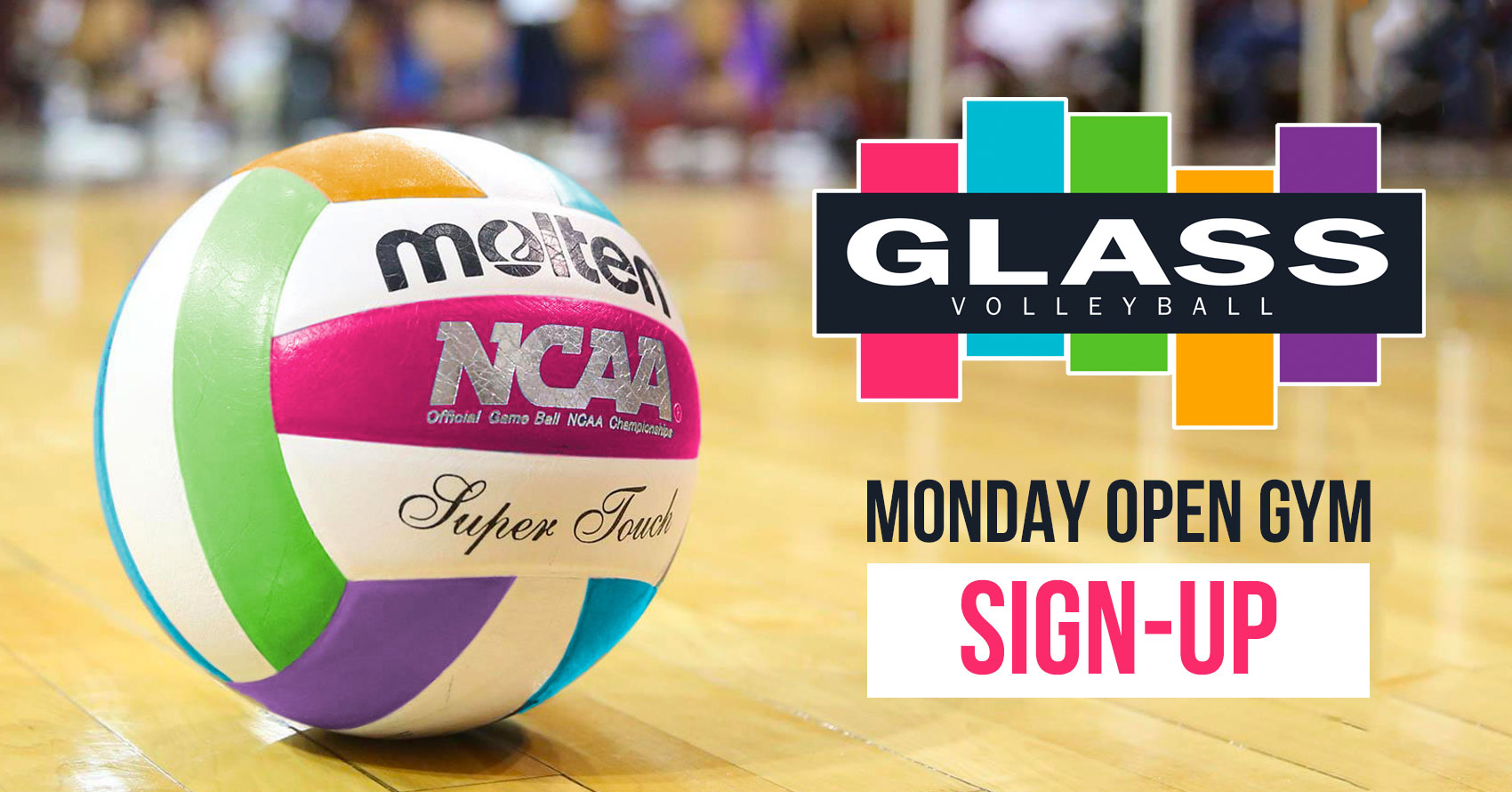 Advanced Volleyball GLASS Volleyball